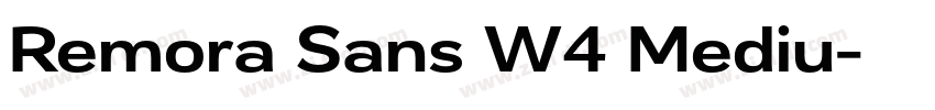 Remora Sans W4 Mediu字体转换